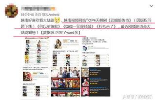 国产精品大陆在视频